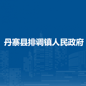 丹寨县排调镇​党务政务服务中心