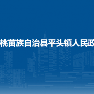 松桃县平头镇​党务政务服务中心