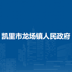 凯里市龙场镇政府​党务政务服务中心（退役军人服务站）
