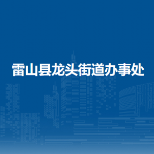 雷山县龙头街道办事处各部门负责人及联系电话