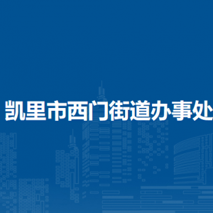 凯里市西门街道办事处​党务政务综合服务中心（党群服务中心）