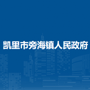 凯里市旁海镇政府​党务政务服务中心（退役军人服务站）