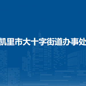 凯里市大十字街道办事处​党务政务服务中心（退役军人服务站）