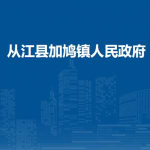 从江县加鸠镇政务服务中心