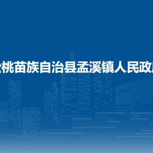 松桃苗族自治县孟溪镇党务政务服务中心