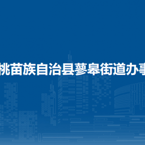 松桃苗族自治县蓼皋街道​党务政务服务中心