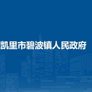 凯里市碧波镇政府​党务政务服务中心(退役军人服务站)
