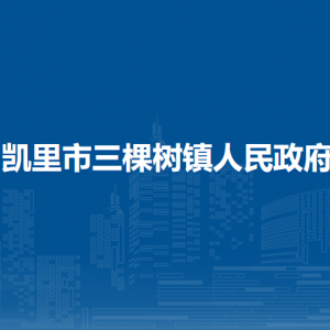凯里市三棵树镇政府党务政务服务中心（退役军人服务站）