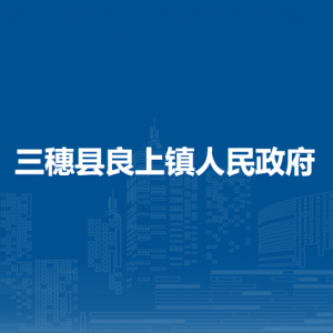 三穗县良上镇政府各部门职责及联系电话