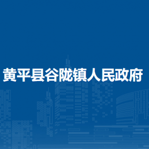 黄平县谷陇镇​党务政务服务中心（退役军人服务站）