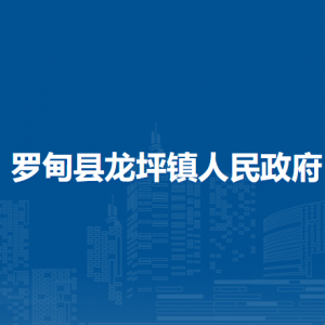 罗甸县龙坪镇住房各部门负责人及联系电话