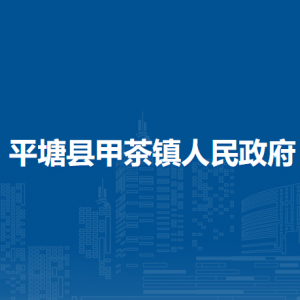 平塘县甲茶镇党务政务服务中心