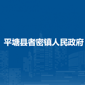 平塘县者密镇党务政务服务中心
