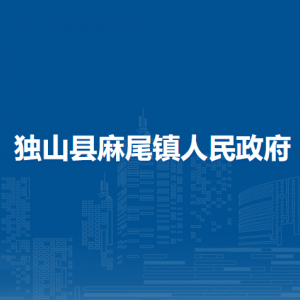 独山县麻尾镇党务政务服务中心