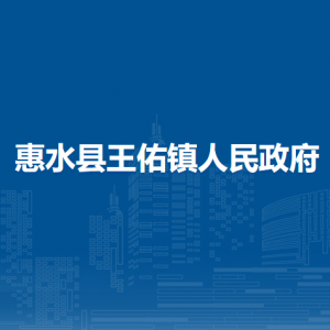 惠水县王佑镇政府各部门负责人及联系电话