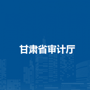 甘肃省审计厅财政审计处
