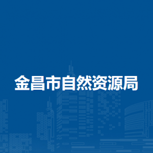 金昌市自然资源局自然资源所有者权益科