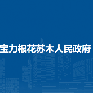 扎赉特旗宝力根花苏木​综合行政执法局工作时间和联系电话