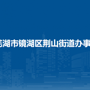 芜湖市镜湖区荆山街道综合行政执法大队