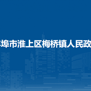 蚌埠市淮上区梅桥镇为民服务中心（卫生健康中心、就业和社会保障事务所、民政所）