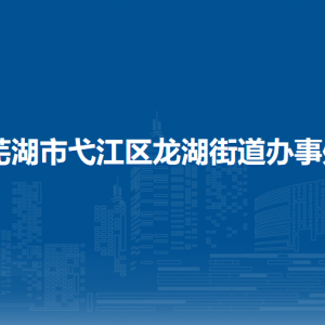芜湖市弋江区龙湖街道便民服务中心