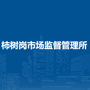 肥西县上派镇各村、社区地址负责人及联系电话