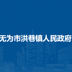 无为市洪巷镇综合行政执法大队