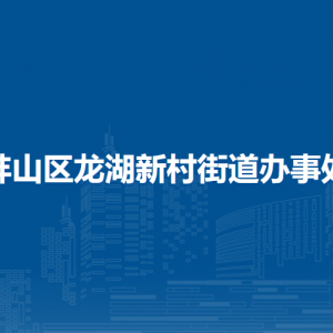 蚌埠市蚌山区龙湖新村街道综合执法队（精神文明建设办公室、生态环境保护办公室)