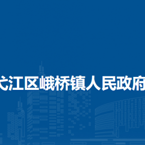 芜湖市弋江区峨桥镇便民服务中心