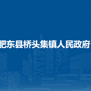 肥东县桥头集镇各村（社区）负责人及联系电话
