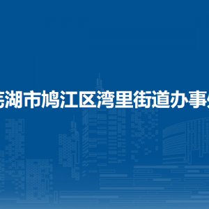 芜湖市鸠江区湾里街道便民服务中心
