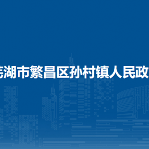 芜湖市繁昌区孙村镇综合行政执法大队