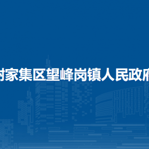 淮南市谢家集区望峰岗镇​司法所