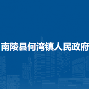 南陵县何湾镇综合行政执法大队