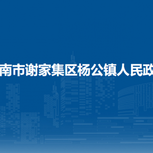 淮南市谢家集区杨公镇党建办公室联系方式
