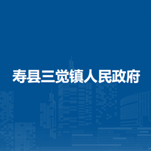 寿县三觉镇政府各部门负责人及联系电话