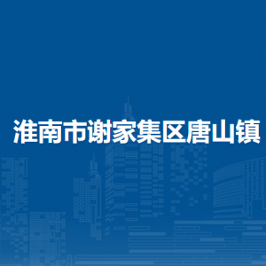 淮南市谢家集区唐山镇党政办公室