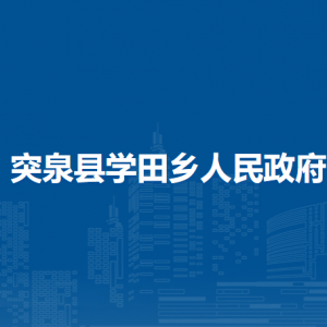 突泉县学田乡党群服务中心(挂便民服务中心、退役军人服务站、新时代文明实践所牌子)