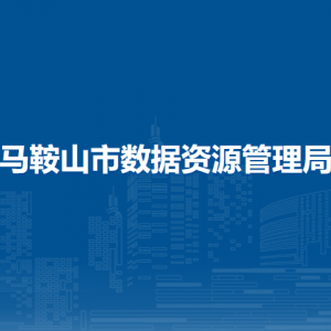 马鞍山市数据资源管理局（市政务服务管理局）数字技术科