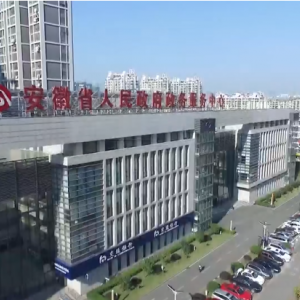 安徽省政务服务中心办事大厅各窗口咨询电话