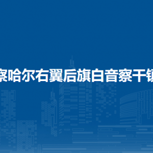 察哈尔右翼后旗白音察干镇政府各部门职责及联系电话