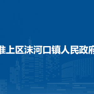 蚌埠市淮上区沫河口镇综合执法队
