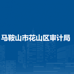 马鞍山市花山区审计局办公室