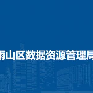 马鞍山市雨山区政务服务监督室（区政务服务中心）
