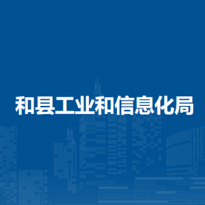 和县工业和信息化局非煤矿山管理股