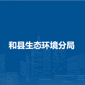 和县生态环境分局项目管理股