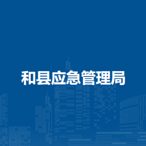 和县应急管理局办公室