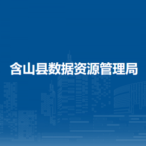 含山县数据资源管理局综合办公室