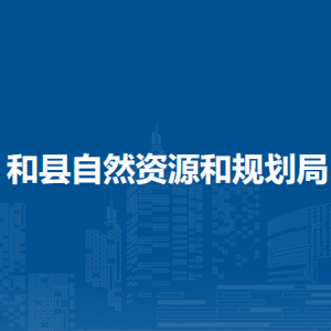 和县自然资源和规划局国土空间规划股