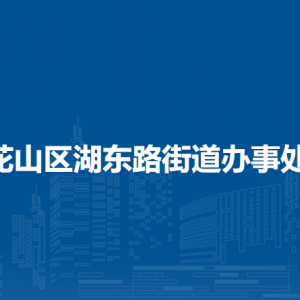 马鞍山市花山区湖东路街道党建工作办公室